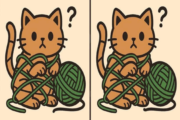 Ловушка для глаз: найди отличия, которые мозг игнорирует