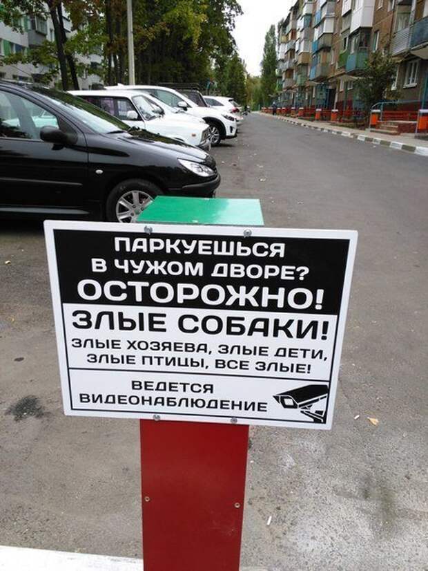 Смелые, но забавные объявления Смелые, но забавные объявления