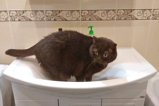 В Смоленске на двух улицах отключили воду