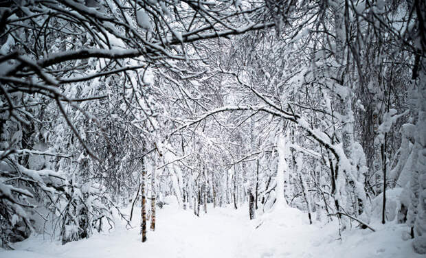 Россиян призвали не есть снег