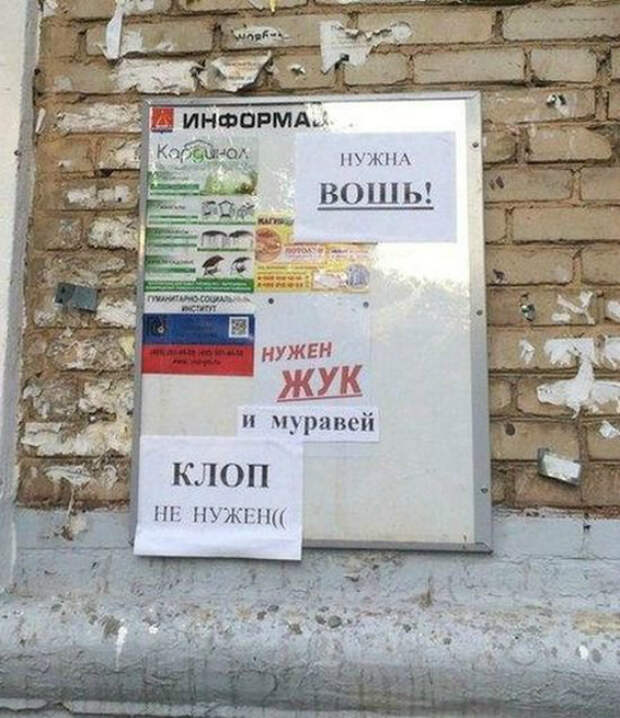 Нужные насекомые.