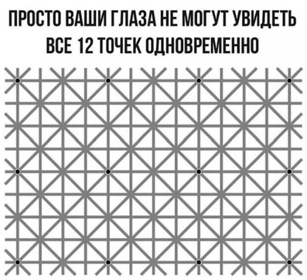 Подборка прикольных картинок