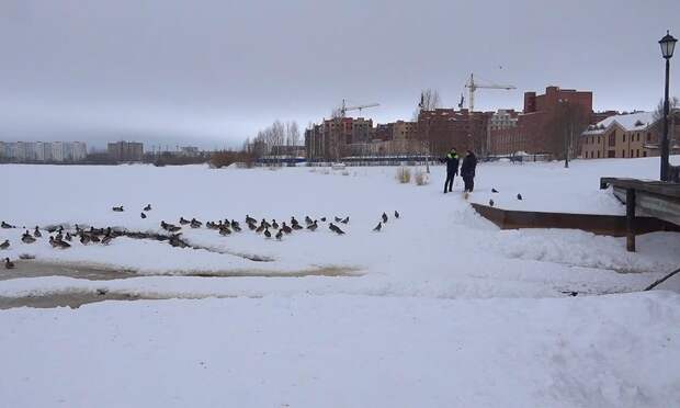 Ребёнок провалился в полынью на Театральном озере в Северодвинске