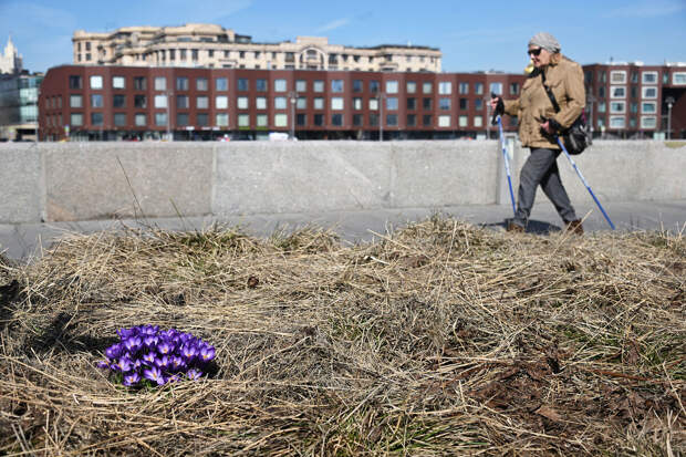 Макарова: в Москве на следующей неделе не ожидается опасных погодных явлений