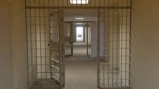 Житель Сочи получил 13,5 года лишения свободы за попытку застрелить полицейского