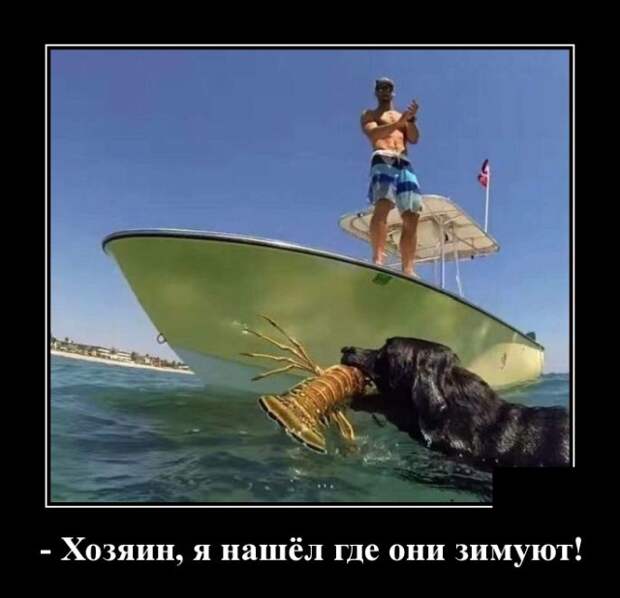 Демотиваторы (30 фото)