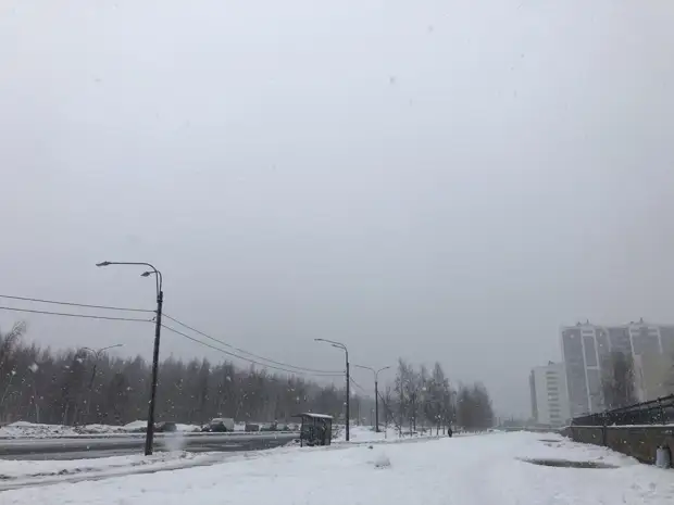 «Жёлтый» уровень опасности: ветер бушует в Северной столице