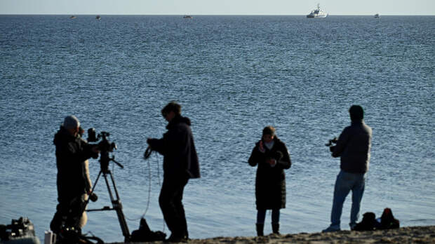 Спасенный ранее кит снова застрял на мелководье в Балтийском море