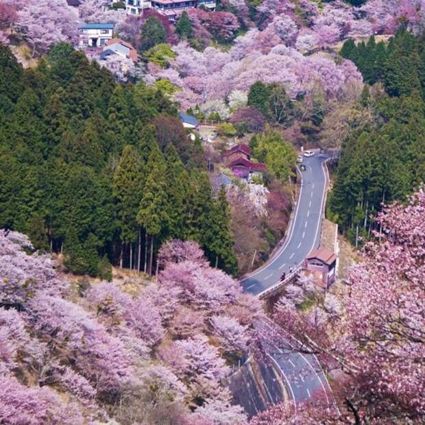 Фотография: 8 самых инстаграмных мест мира, куда все едут сфотографироваться №3 - BigPicture.ru