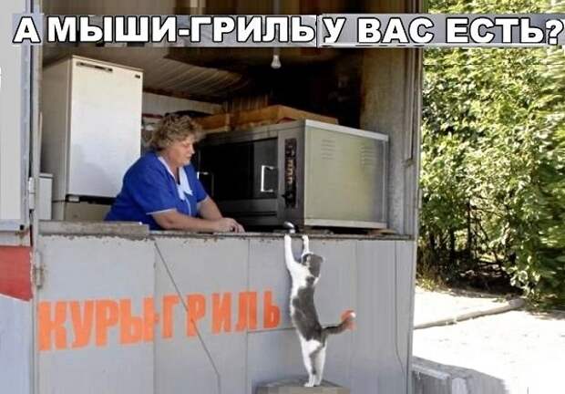 Картинки с надписями, истории и анекдоты