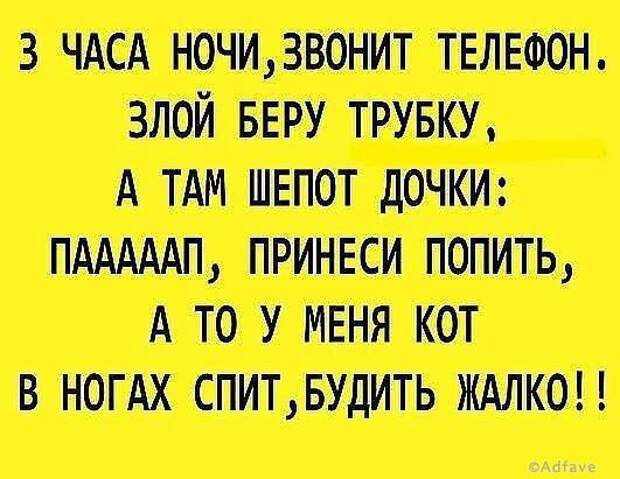 Несколько наполненных юмором открыток о нашей жизни