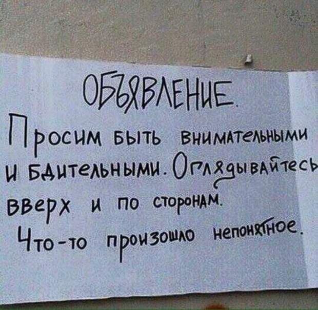 Подборка картинок. Дневной выпуск (27 фото)