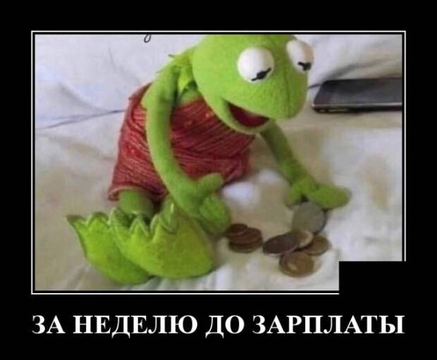 Демотиваторы (20 фото)