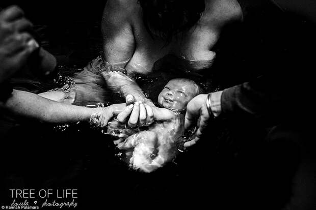 Фотограф Ханна Паламара запечатлела прекрасный момент появления ребенка через роды в воде дети, роды, рождение, фотограф