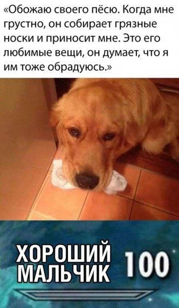 Новые прикольные картинки дня!!!