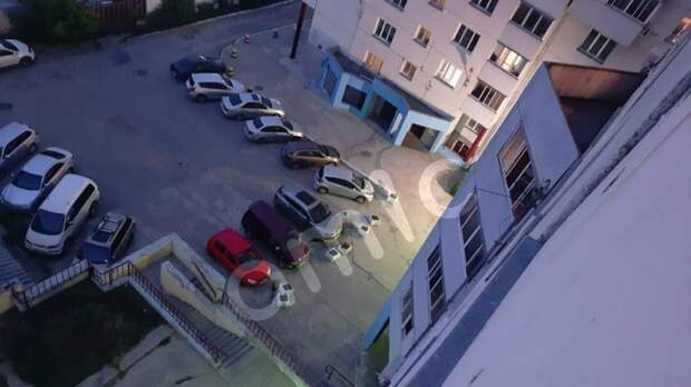 Ул. Крупской, 145 / Фото: предоставлено для amic.ru