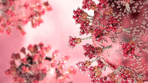 Куратор ковидного госпиталя рассказал, как привитые переносят «Омикрон»