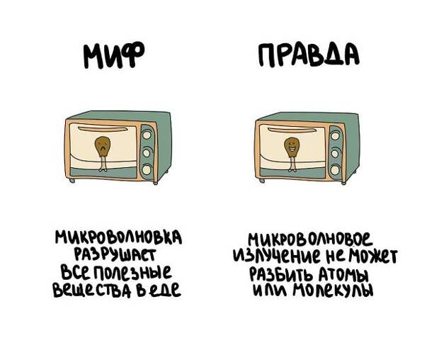 Короткие интересные факты обо всём