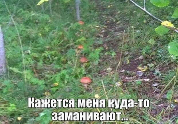 Прикольные фотомемы на Бугаге (32 шт)
