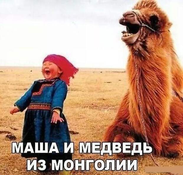 15 свежих мемов на сегодня