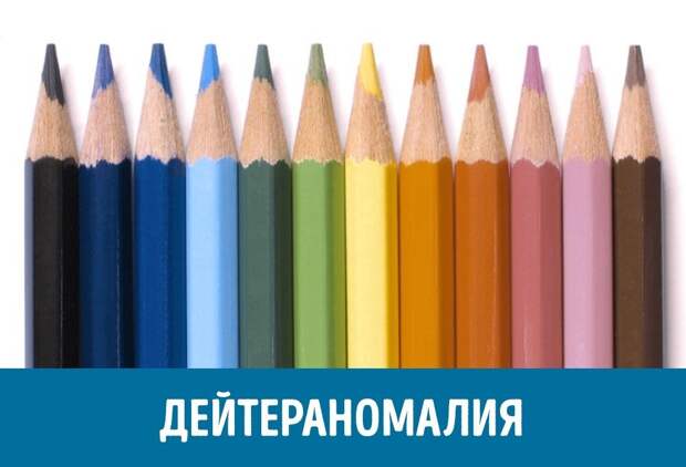 Как видят мир люди с разными формами дальтонизма