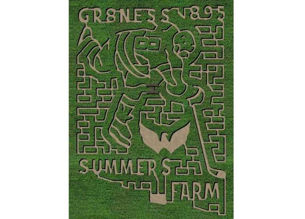 В США появился огромный лабиринт в честь рекорда Овечкина по голам в НХЛ