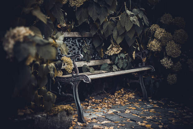 Bench by Alina Roe on 500px.com