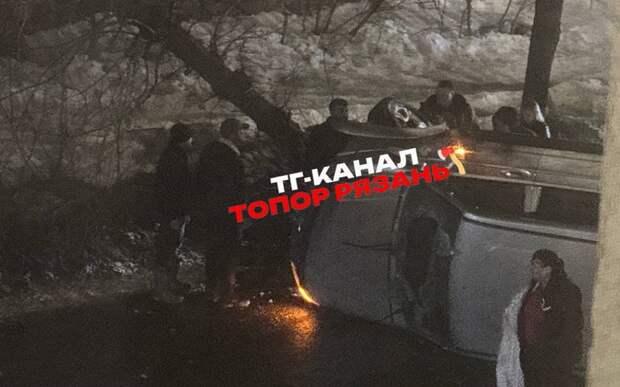 В Горроще ночью машина сбила дерево и перевернулась