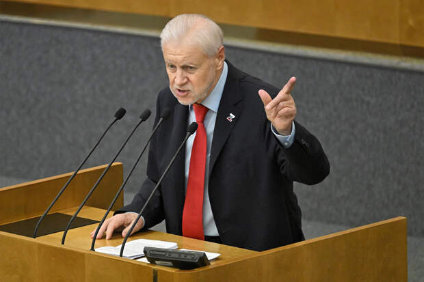 Миронов назвал возможный размер 13-й пенсии