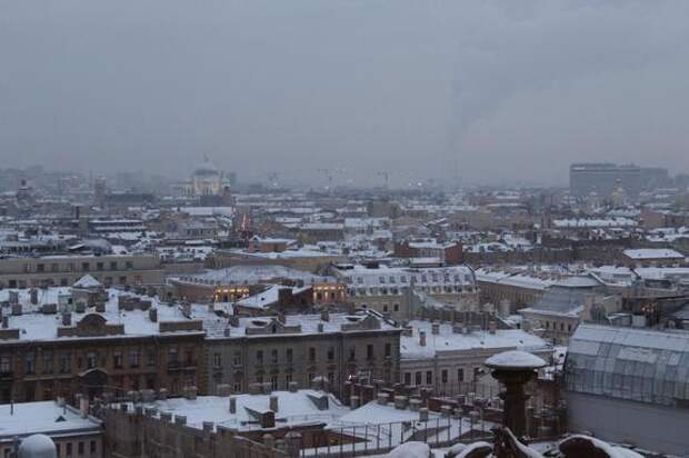 Предприниматели Петербурга привлекли 230 млн рублей по новой программе