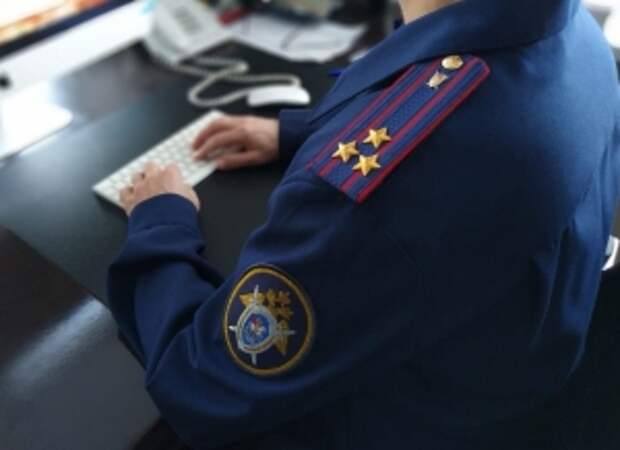 Главе ведомства будет представлен доклад о расследовании уголовного дела по факту нарушения жилищных прав граждан в Калужской области