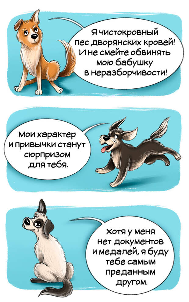 Честный гид по породам собак от первого лица (Часть 2-я)
