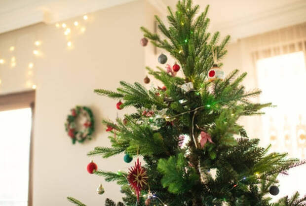 Названы три главные опасности живой елки дома