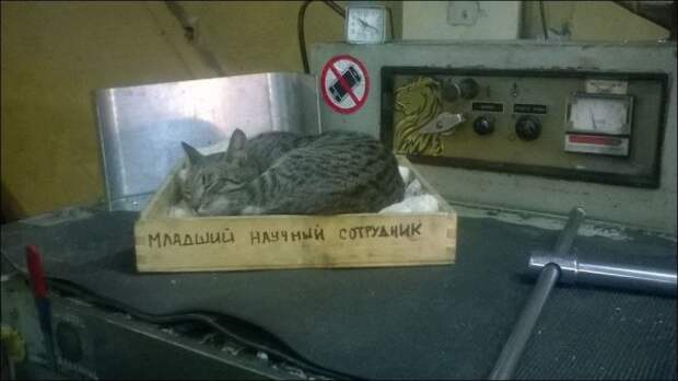 Нестандартный юмор :)