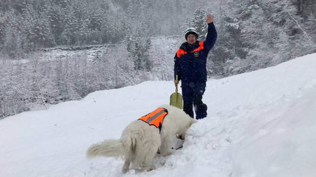 Петербургские спасатели и волонтеры рассказали о работе в чрезвычайных ситуациях зимой