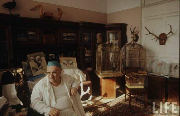 Советская медицина на страницах журнала LIFE