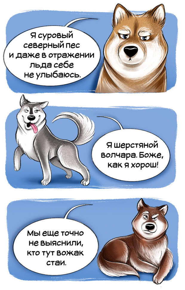 Честный гид по породам собак от первого лица (Часть 2-я)