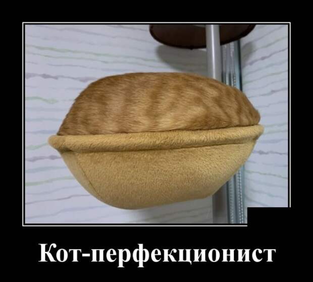 1580837925_0004.jpg