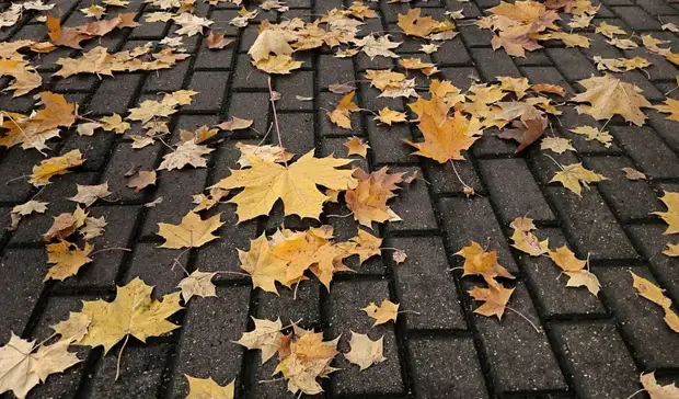 Плитку переложат за 9 млн рублей у здания правительства Оренбуржья