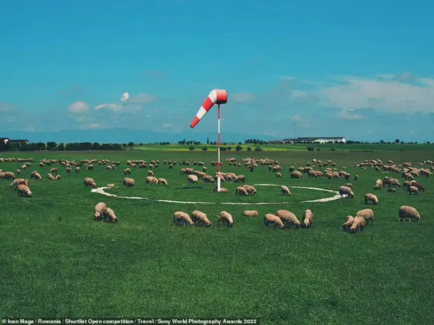 Конкурс Sony World Photography Awards 2022