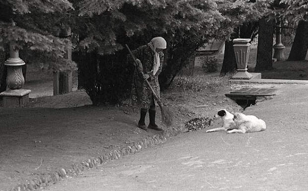 Фотография: Повседневная жизнь в советской Грузии 1976 года в фотографиях шведского фотографа №22 - BigPicture.ru