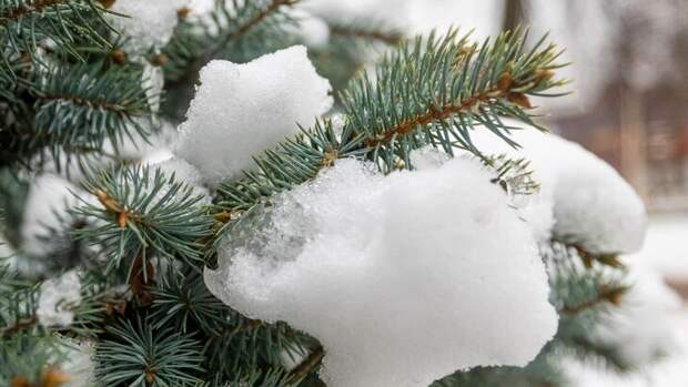 Около 30% месячной нормы осадков выпало в столичном регионе за ночь