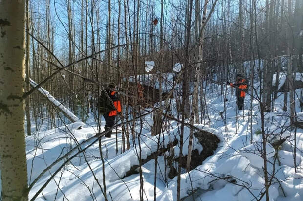Массовые поиски Усольцевых, предположительно, возобновят не раньше мая