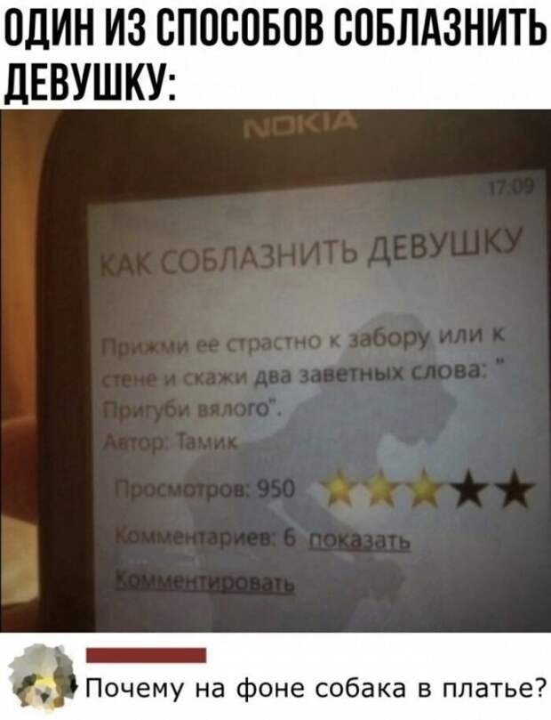 Смешные комментарии из социальных сетей