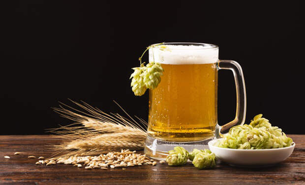 Ученые из США установили, что светлое пиво очень полезно для кишечника