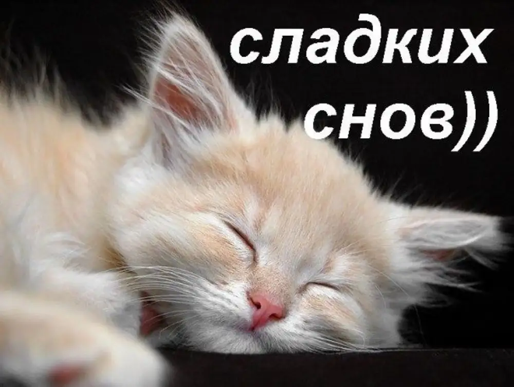 Споки сладкий. Сладких сладких снов. Сладких снов котик. Сладких снов киса. Спокойной ночи сладких снов.