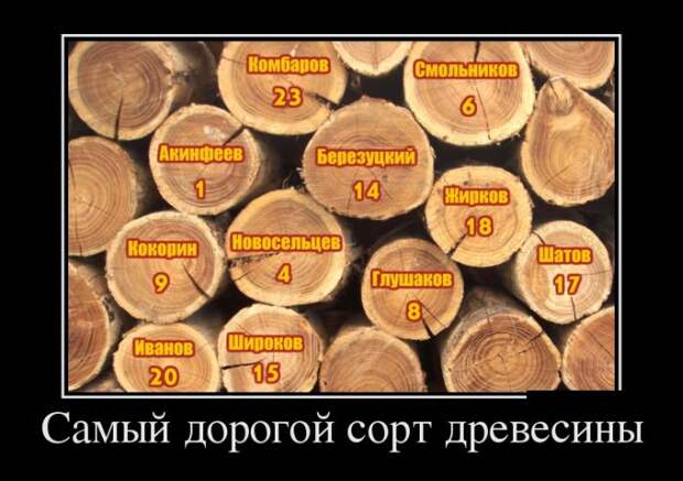 Демотиваторы №1103 (30 фото)