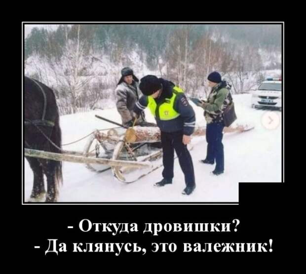 Демотиваторы (20 фото)