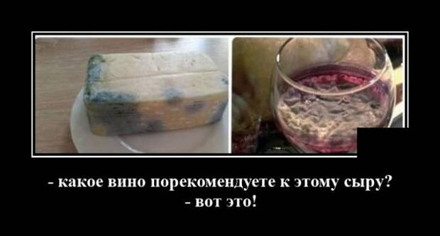 Демотиватор про вино и сыр