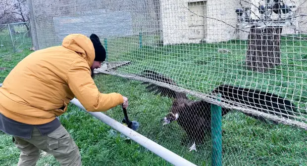 Как мы побывали в русской Сахаре. Бархан Сарыкум, Дагестан